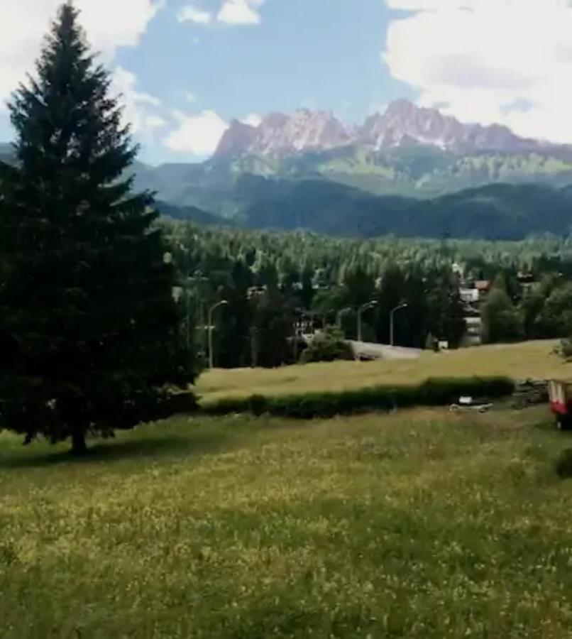 Casa Vacanze Miramonti - Appartamento Con Balcone Con Vista Sulle Dolomiti Borca di Cadore Dış mekan fotoğraf